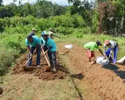 Membangun Pertanian Lokal dari Dusun