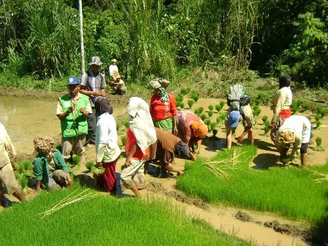 Penyuluhan Pertanian sebagai Upaya Meningkatkan Pengetahuan, Keterampilan, dan Kesejahteraan Petani